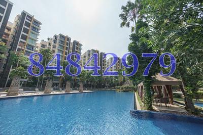 Savannah Condopark (D18), Condominium #79192242